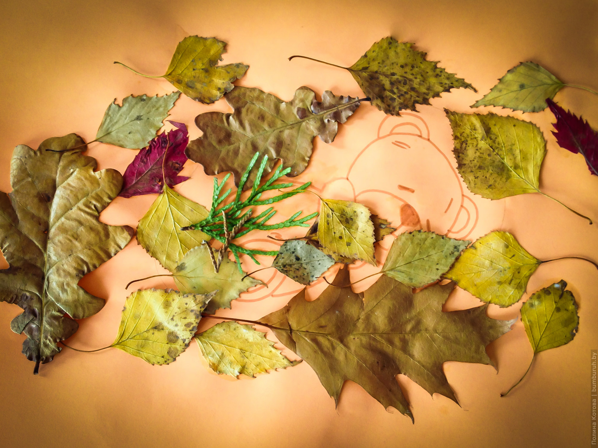 Поделки из осенних листьев: 5 классных идей